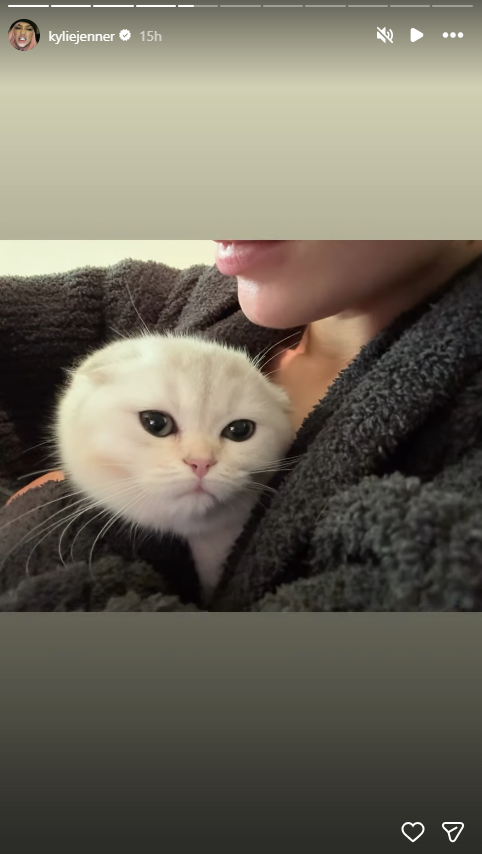 Credits: Kylie Jenner Instagram Story