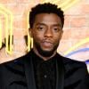 Chadwick Boseman receives new honour after death