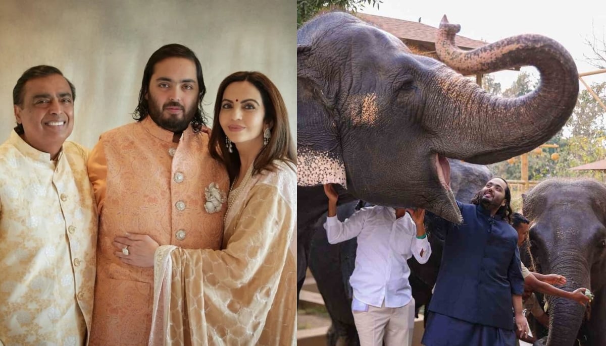 UN Wildlife body reverses import warning after reviewing Ambani Family’s Vantara zoo