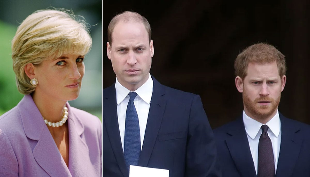 Princess Diana’s secret admission about Prince William, Prince Harry proved decades later