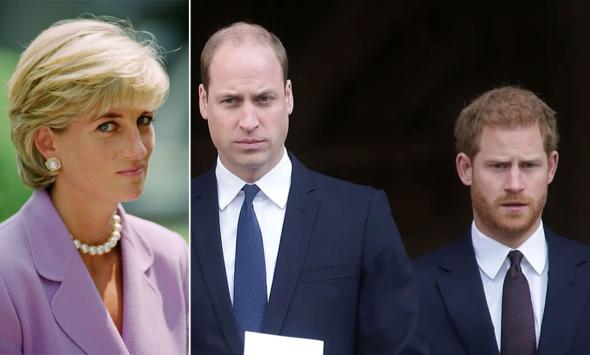 Princess Diana’s secret admission about Prince William, Prince Harry proved decades later