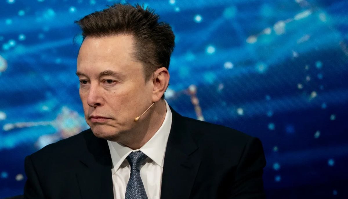 Elon Musk reveals Mag 7 stocks to watch that could dominate beyond Tesla