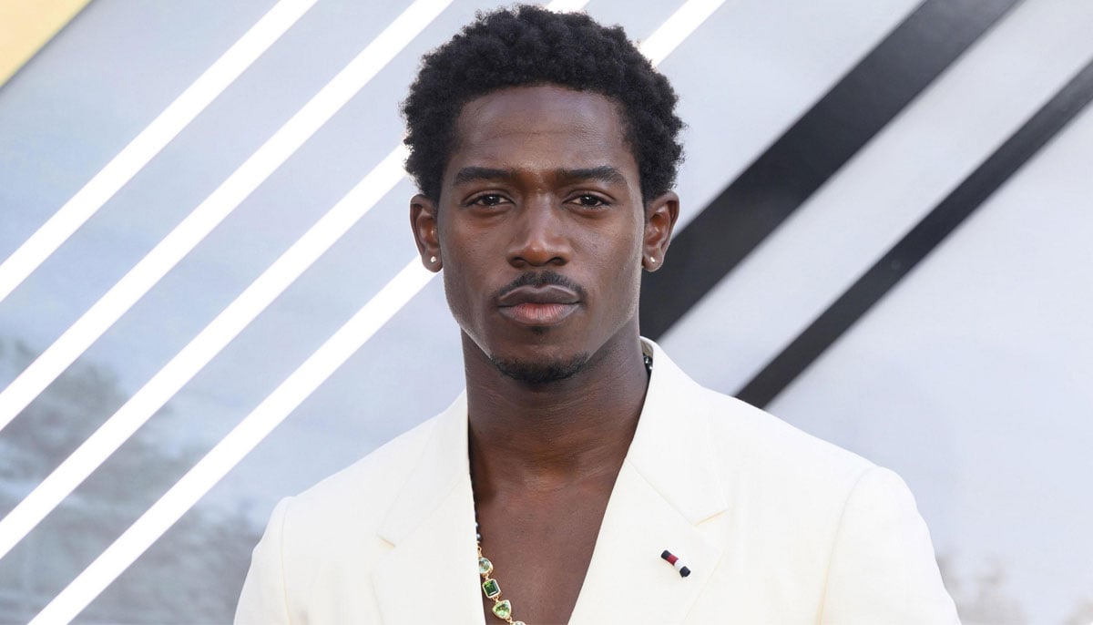 Hollywood’s class of 2025: Stars who ruled the year