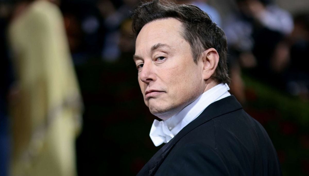 How much did Elon Musk’s net worth surge in 2025