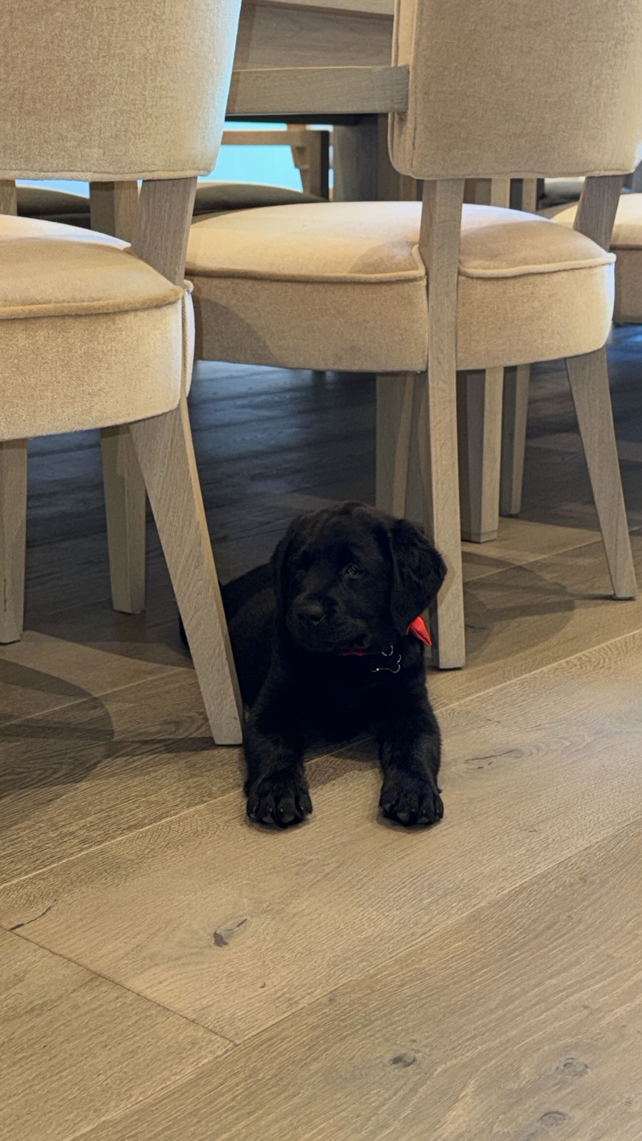 Courtesy: Khloé Kardashian/Instagram Stories