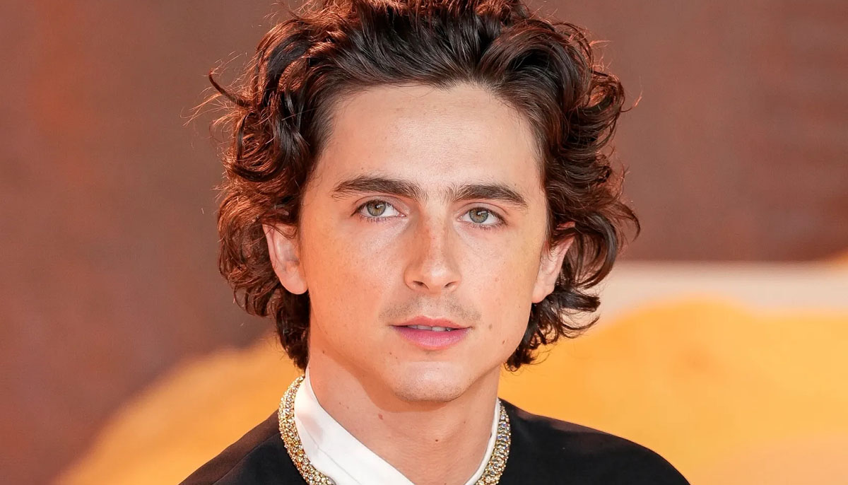 Timothee Chalamets Marty Supreme era — brilliantly arrogant or brilliant marketing?