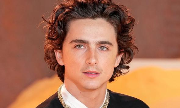 Timothee Chalamet's 'Marty Supreme' era — brilliantly arrogant or brilliant marketing?