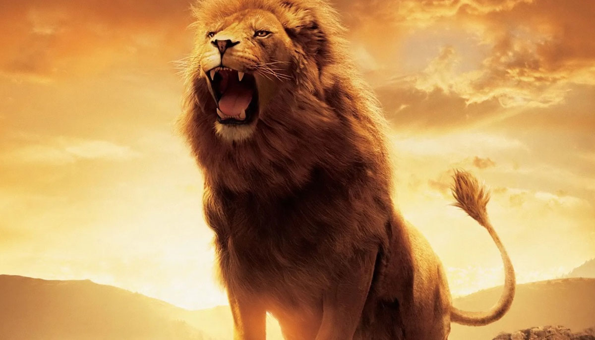 Whats next on Netflix? Get ready for mind-blowing releases of 2026