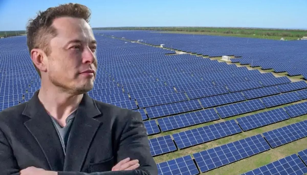 Elon Musk claims solar power can meet humanity’s global energy needs