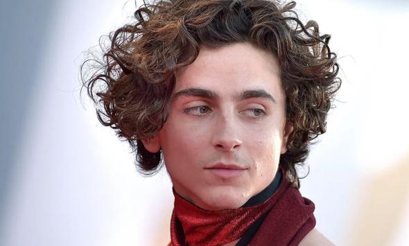 Timothee Chalamat's romantic past reveals surprising trend