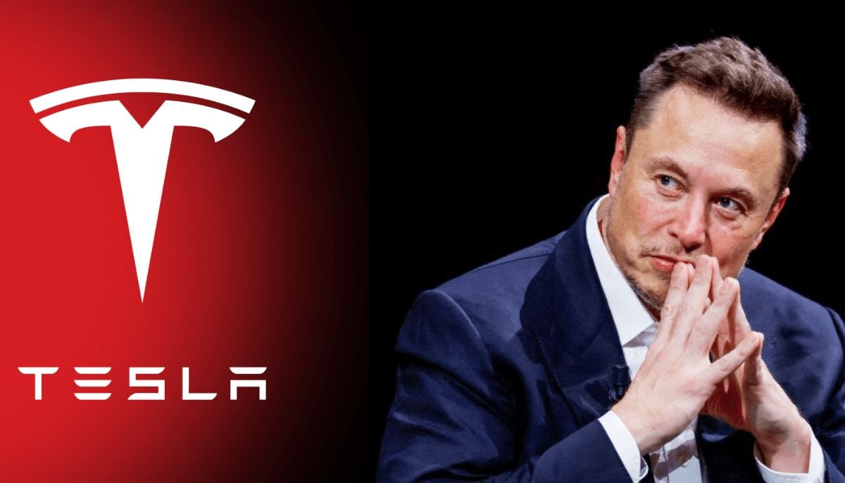 Reactions from 3 Tesla owners to Elon Musks FSD update