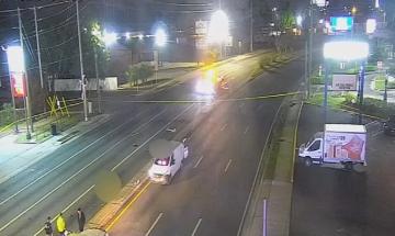 Woman critically injured as man in wheelchair and dog die in Florida crash