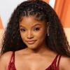 Halle Bailey reveals dream role in Netflix hit 'Bridgerton'