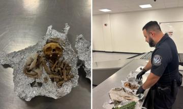 Skull found after man mentions cremation, skeletal remains discovered