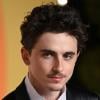 Timothée Chalamet ignites worldwide buzz about performing arts