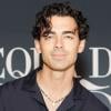 Joe Jonas confirms new romance with Tatiana Gabriela in Puerto Rico travel post