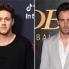 Niall Horan recalls heartbreaking moment he learned of Liam Payne’s passing