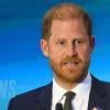 Prince Harry addresses his place in the royal family and his ongoing mission