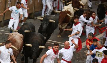 Tragedy at Spanish festival as bull attack claims life of local breeder
