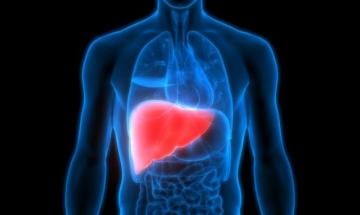 Expert advice on identifying everyday habits that quietly damage liver function
