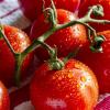 Did you know? Tomatoes can increase your internal skin protection levels