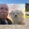 Vietnam veteran dies following collision with teenage e-motorcycle rider