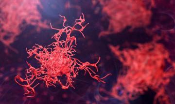 Scientists warn of rising threat from deadly amoebae amid global warming