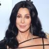 Cher pays tribute to iconic sheer gown in return to Met Gala after 10 years