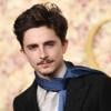 Timothée Chalamet chooses Knicks playoff game over Met Gala red carpet appearance