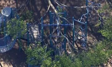 Child dies after falling tree strikes elementary school playground in Massachusetts