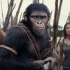 New 'Planet of the Apes' film directed by 'Fantastic Four: First Steps' helmer