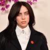 Billie Eilish defends vegan views amid criticism from social media users