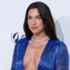 Dua Lipa sues Samsung for $15m over TV box photo