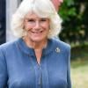 Queen Camilla reveals personal 'marvellous' letter in touching Instagram tribute