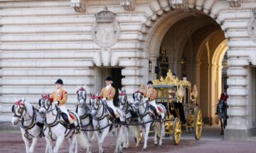Palace reveals rare look at royal horses preparing for today's State Opening of Parliament