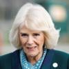 Queen Camilla’s crown jewel moment steals spotlight at state opening of parliament