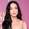 Katy Perry's stunning new post sends fans into frenzy: 'You scared me, girl'