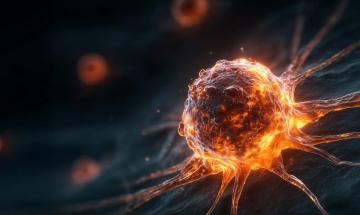 Scientists find vitamin B2 could shield cancer cells from a natural form of cell death