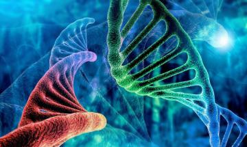 Scientists uncover hidden layer of human genome with over 1,700 dark proteins
