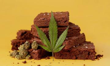 Cannabis compounds beyond THC may hold the key to metabolic benefits, new research suggests
