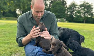 Prince William jokes about the ‘chaos’ caused by family dogs at Kensington home
