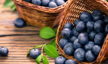 Blueberries may help protect bone health, says orthopaedic expert