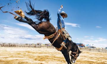 Las Vegas horse stabbing incident prompts arrest of teenage girl during major rodeo event