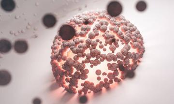 Cancer research gap exposed as study reveals melanoma's unexpected relationship with ageing