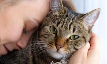 Study finds cat owners face twice the odds of schizophrenia development