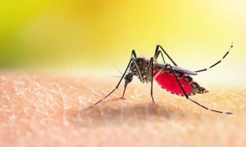5 silent warning signs dengue is turning severe