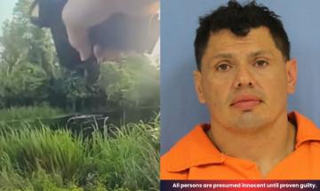 Alligator attacks Louisiana man who fled DWI investigation by leaping into a roadside swamp
