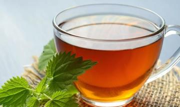 Why experts recommend Green Tea? 8 potential health benefits of drinking it daily