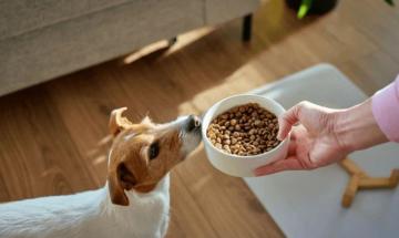 Pet owners are increasingly replacing conventional kibble with fresh, gourmet home-cooked meals