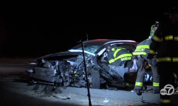 California woman dies after being struck by car while trying to save her pet